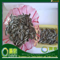 2019 New Arrival High Quality China Inner Mongolia Sunflower Seeds Mill